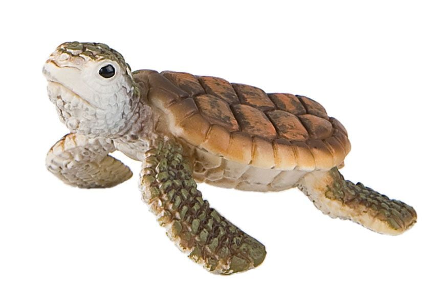 Bullyland - Young Sea Turtle