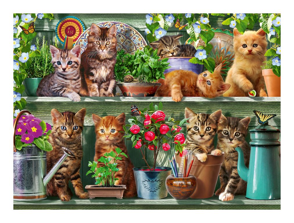 Cats on the Shelf 500pc