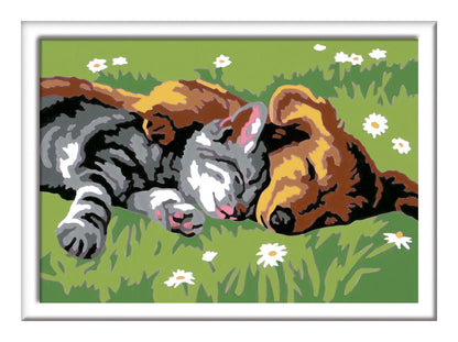 CreArt Paint by Numbers - Sleeping Cats and Dogs