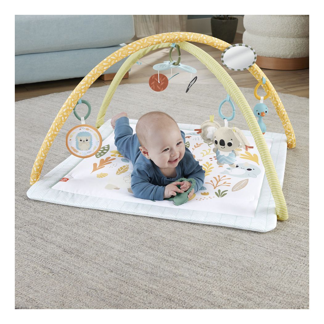 Fisher Price Simply Senses Newborn Gym