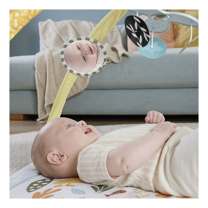 Fisher Price Simply Senses Newborn Gym