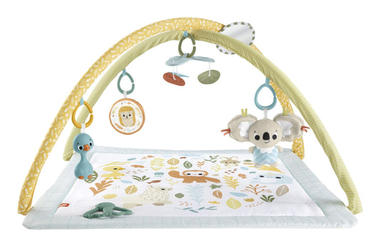 Fisher Price Simply Senses Newborn Gym