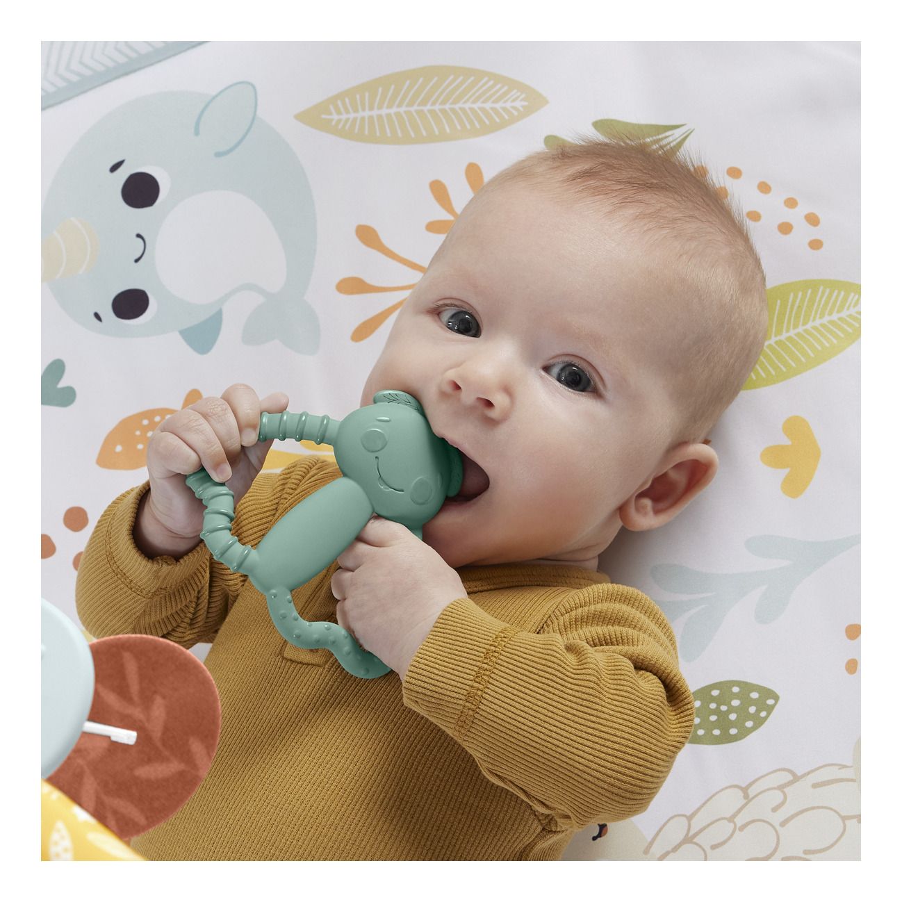 Fisher Price Simply Senses Newborn Gym