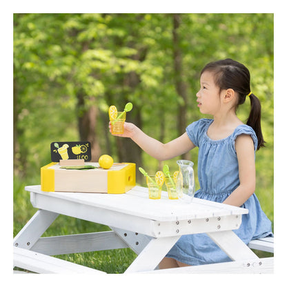 Lemonade Stand Set