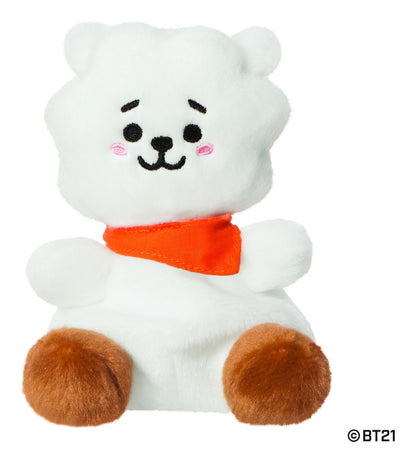 Palm Pals BT21 RJ 5in