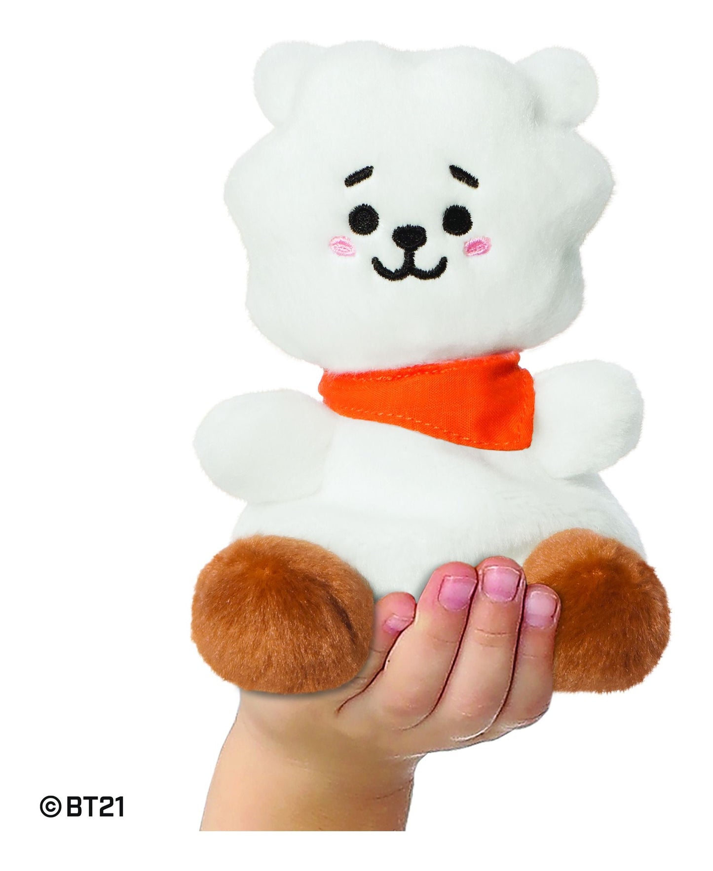 Palm Pals BT21 RJ 5in