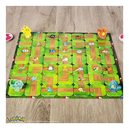 Pokemon Labyrinth