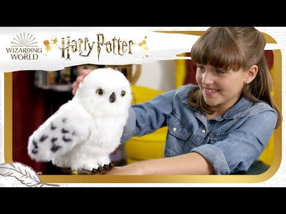 Wizarding World Hedwig